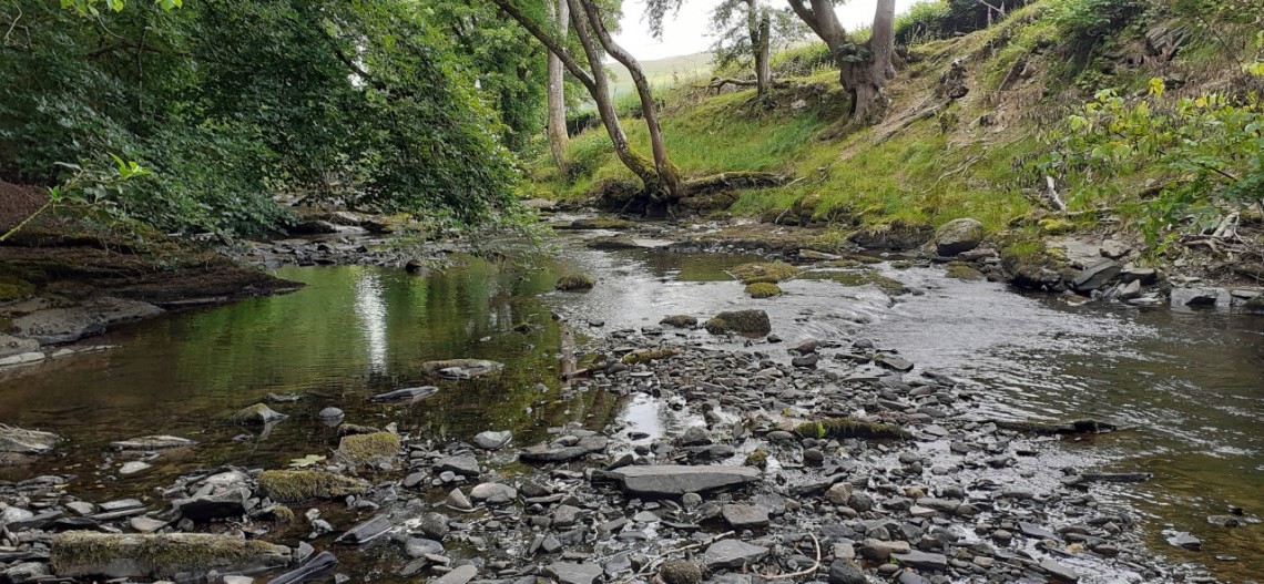 Edw Cregrina low water - JA from Rhayader